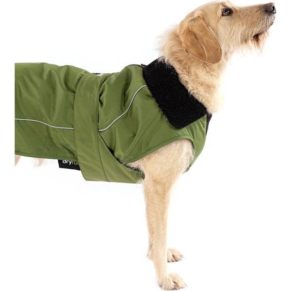 2026  Dryrobe -Hundemantel V3DRDC   Black  / Dunkelgrün